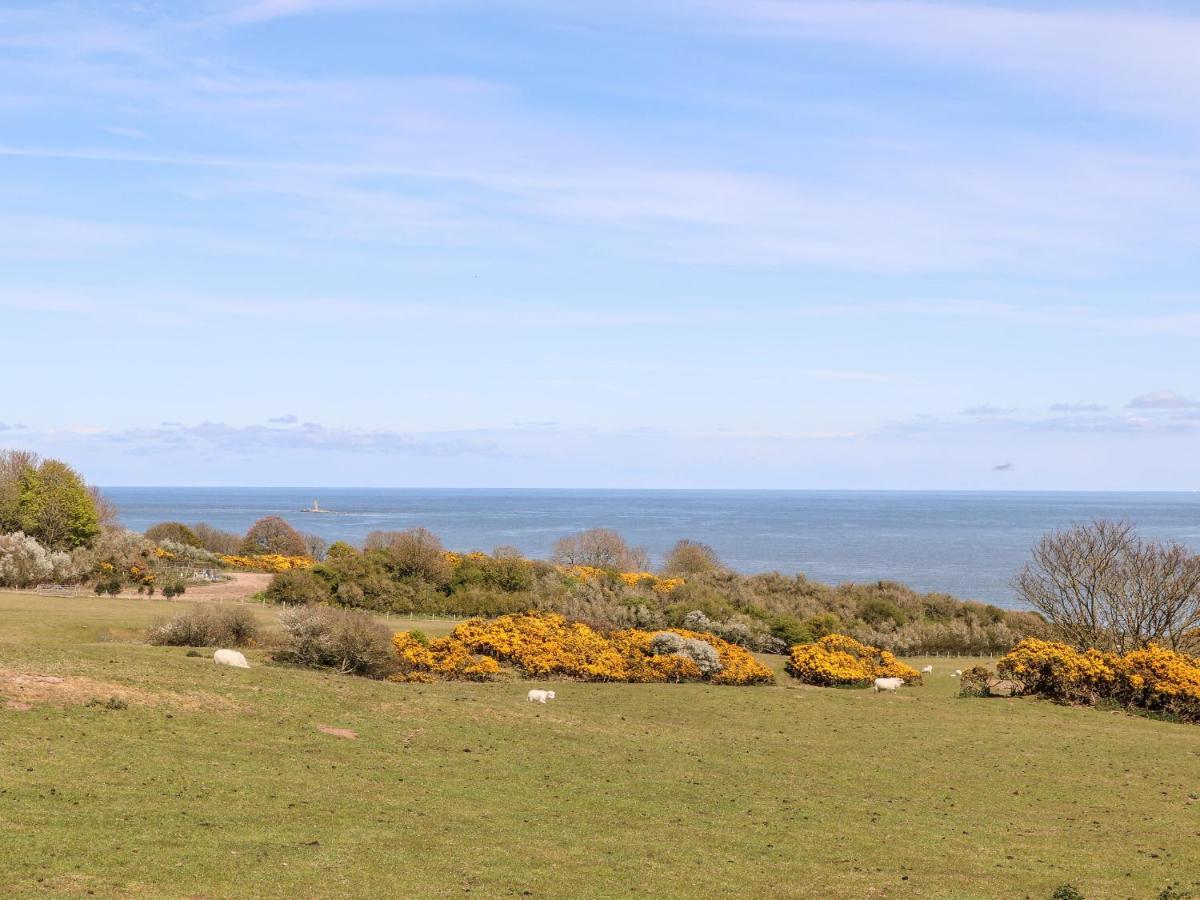 Bryn Hyfryd Caravan Penrhos-Lligwy Екстер'єр фото